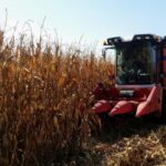 Rigen las líneas de crédito para incentivar la agricultura en La Pampa
