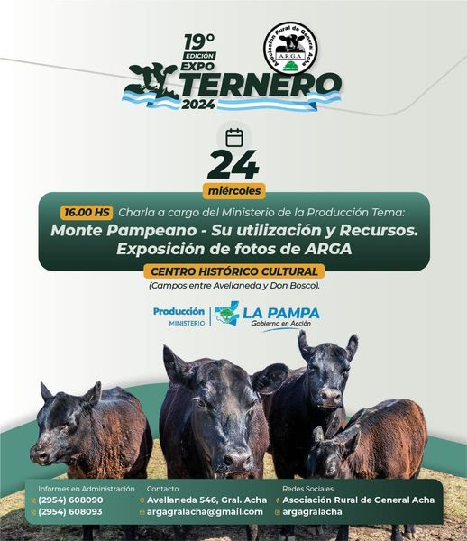Expo Ternero